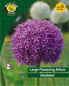 West Cork Bulbs Ireland packaging for Large Flowering Allium Gladiator with purple flower and green background.