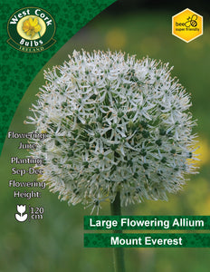 Advertisement for West Cork Bulbs' Large Flowering Allium Mount Everest with plant details.