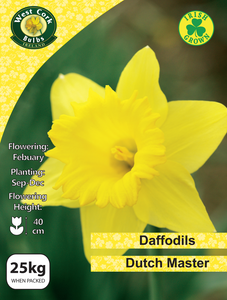 Daffodil bulb package with a yellow daffodil flower on a green background, featuring West Cork Bulbs Ireland branding.
