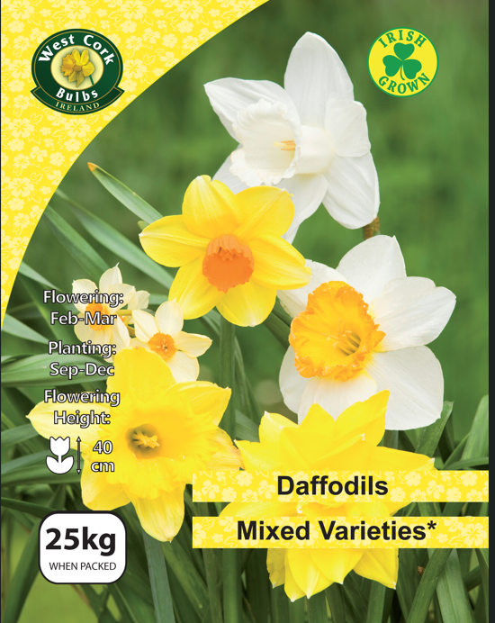 West Cork Bulbs Ireland daffodil packaging with yellow and white flowers.