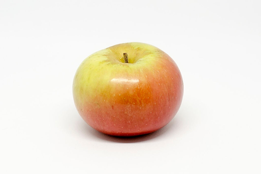 Malus domestica 'Discovery' / Dessert Apple 'Discovery'