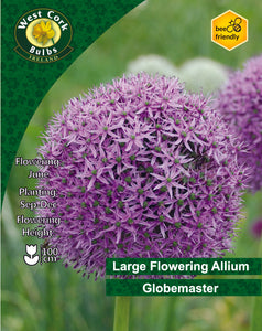 Globemaster Allium bulb packaging with purple flowers and green leaf background