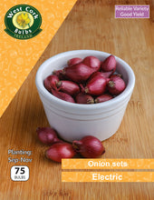 Load image into Gallery viewer, Bowl of red onion sets with West Cork Bulbs Ireland branding on a wooden background
