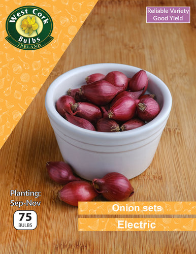 Bowl of red onion sets with West Cork Bulbs Ireland branding on a wooden background