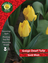 Load image into Gallery viewer, West Cork Bulbs Ireland label with yellow tulips and product details.
