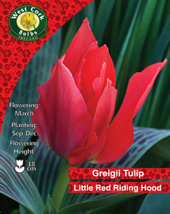 Red tulip with West Cork Bulbs Ireland branding and tulip information text.