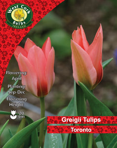 West Cork Bulbs Greigii Tulips Toronto packaging with two pink tulips.