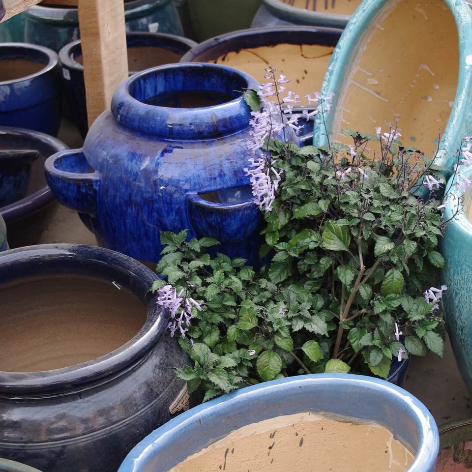 garden centre plant pots, ceramic, blue, green and duck egg