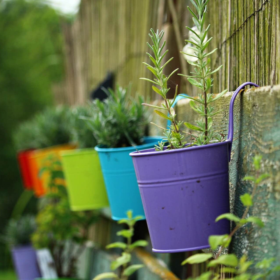 Colorful hanging planters on a wooden fence with greenery in the background