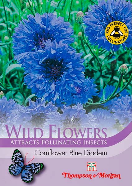 Cornflower Blue Diadem