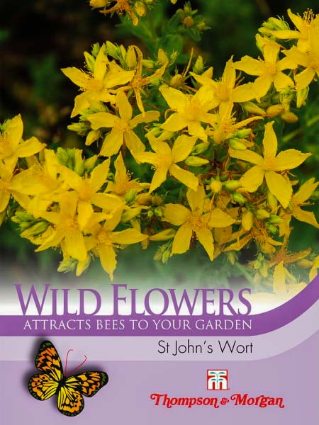 St. John's Wort