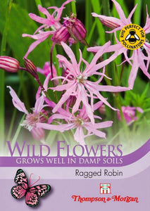 Ragged Robin