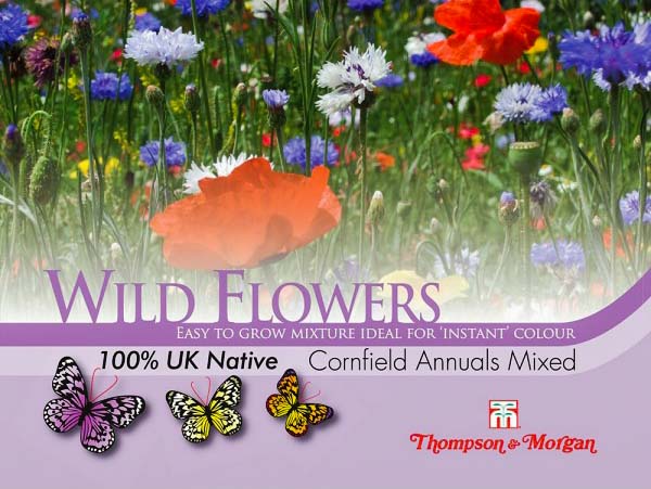 Cornfield Annuals Mix