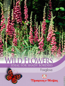 Foxglove