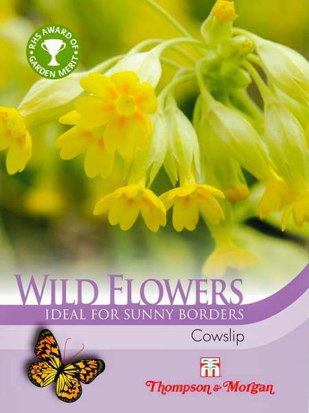 Cowslip