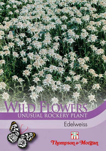 Edelweiss