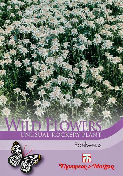 Edelweiss