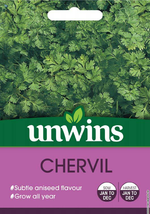 Chervil