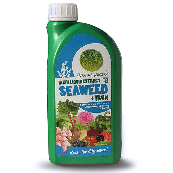 Ocean Leaves® Irish Liquid Seaweed Extract + Iron
