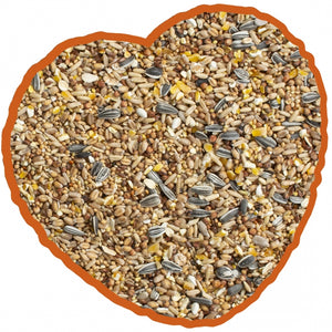 Bird Seed 2kg