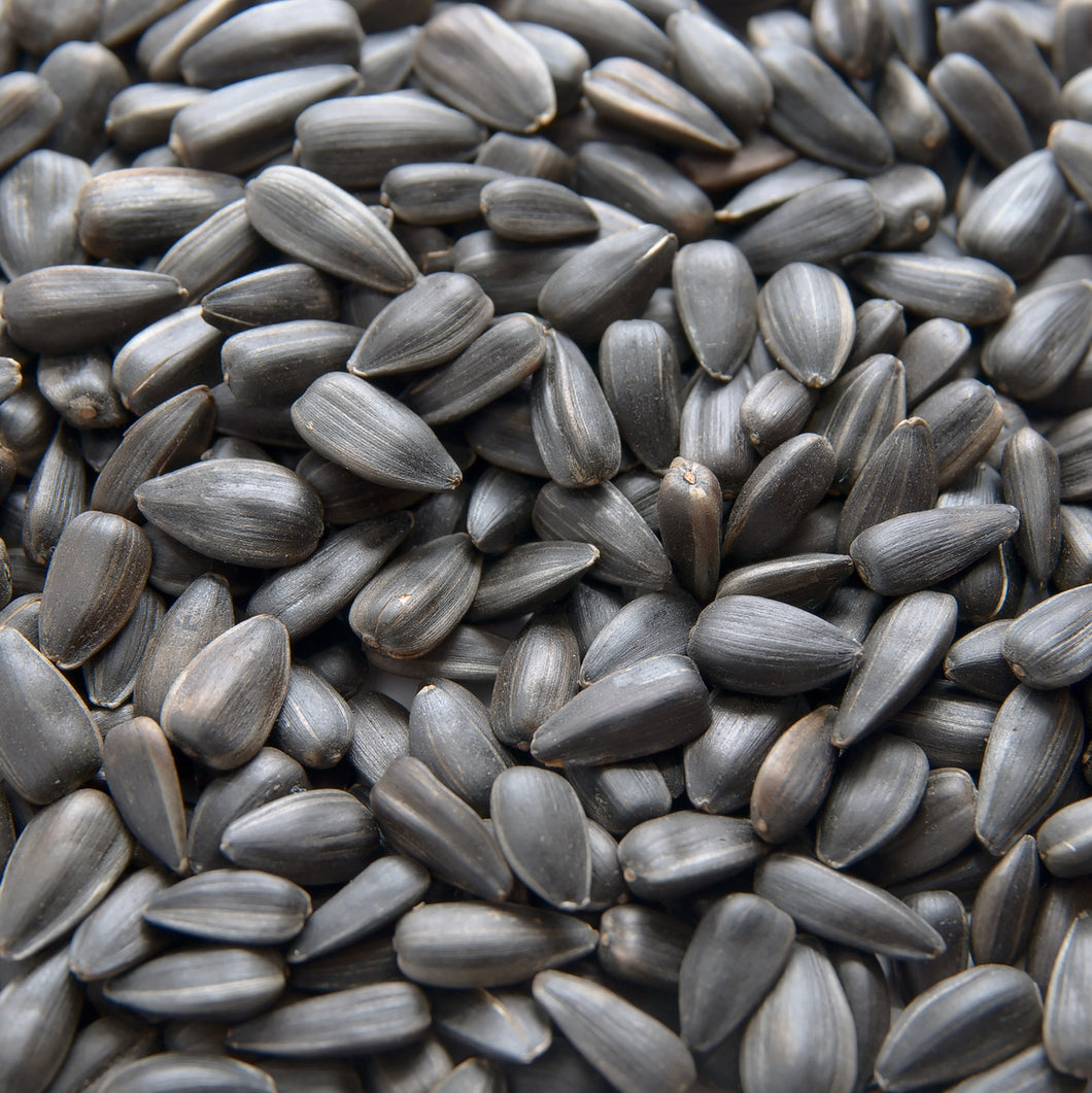 Black Sunflower Seeds 2kg