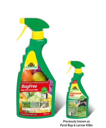 BugFree Organic Insecticide
