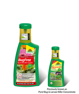 BugFree Organic Insecticide Concentrate