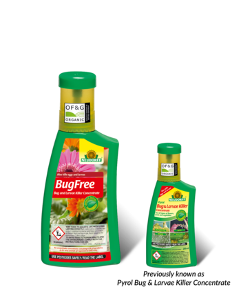 BugFree Organic Insecticide Concentrate