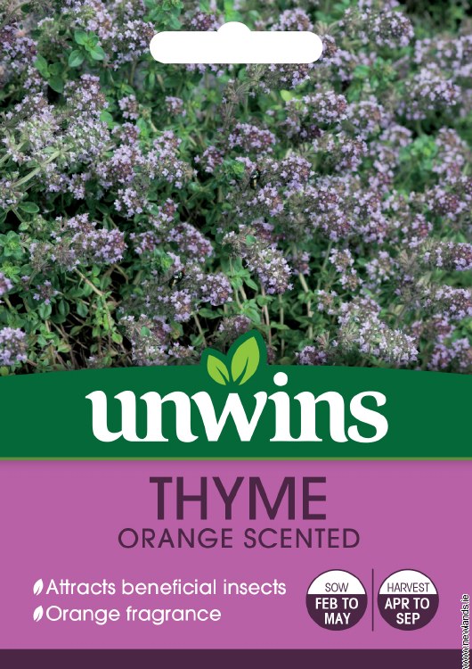 Thyme