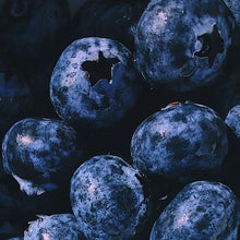 Load image into Gallery viewer, Vaccinium corymbosum / Blueberry

