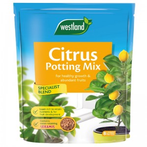 Westland Citrus Compost Mix 8L